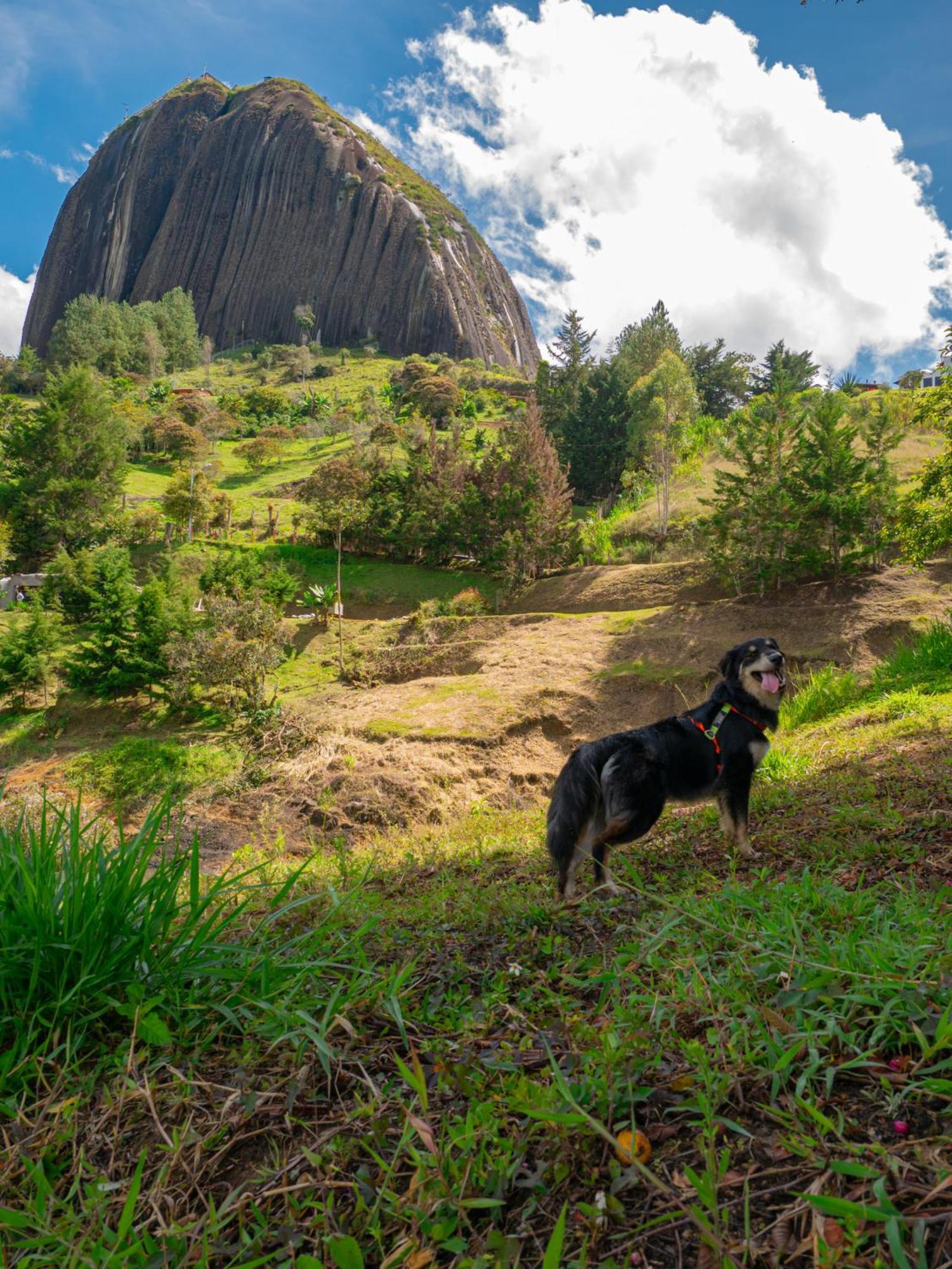 Descanso Bajo La Piedra Del Penol กัวตาเป ภายนอก รูปภาพ